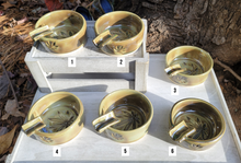 Load image into Gallery viewer, Seaweed Hemp Leaf Ashtrays
